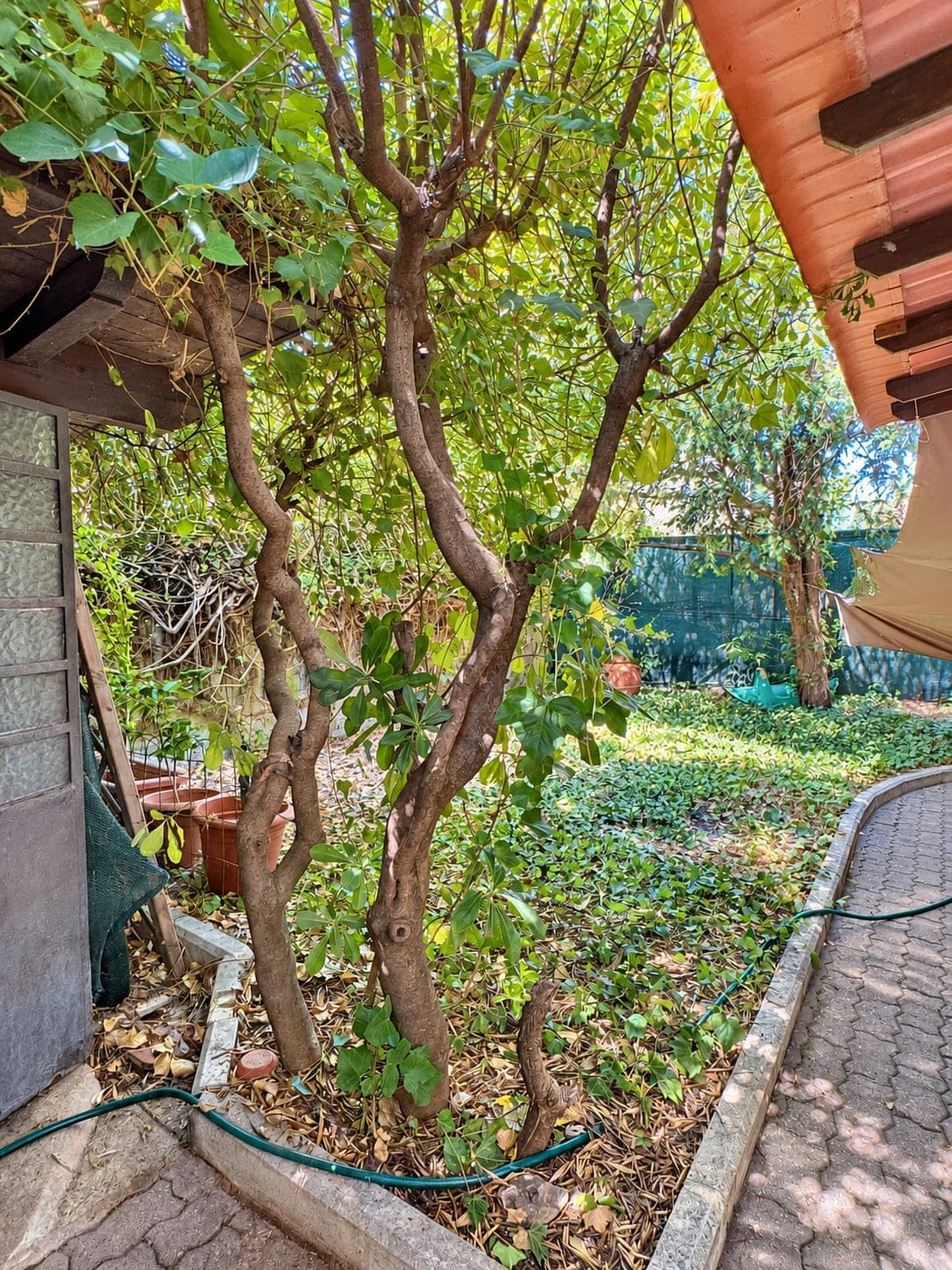 Il giardino sul retro — Villa abbinata con giardino a Villa Verde, Reggio Emilia