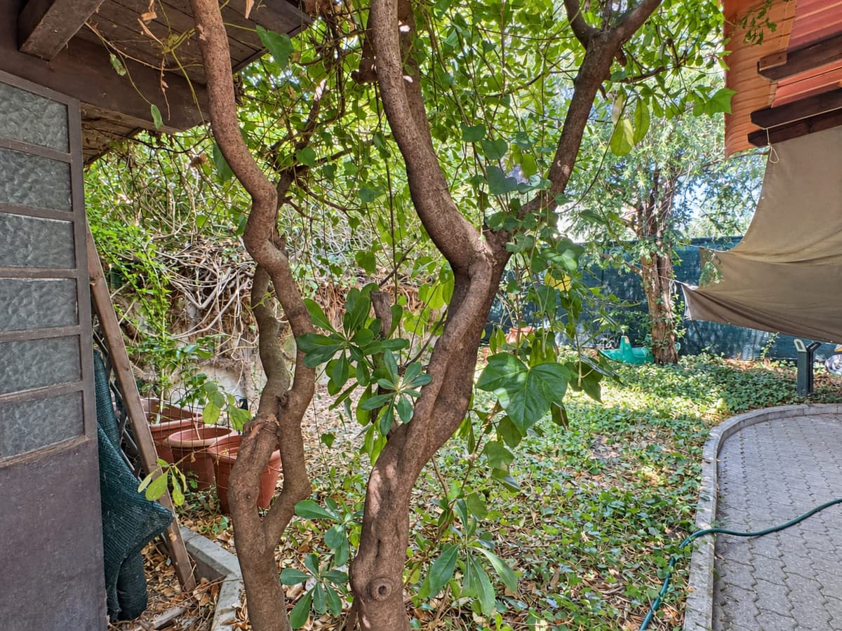 Il verde sul retro — Villa abbinata con giardino a Villa Verde, Reggio Emilia
