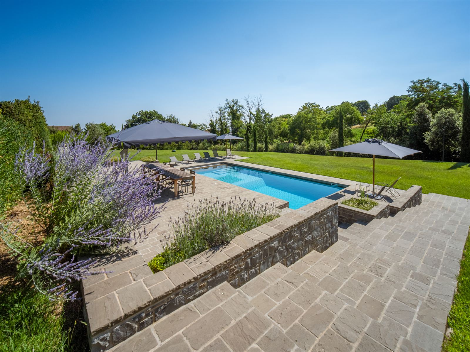 Bordo piscina con lavanda