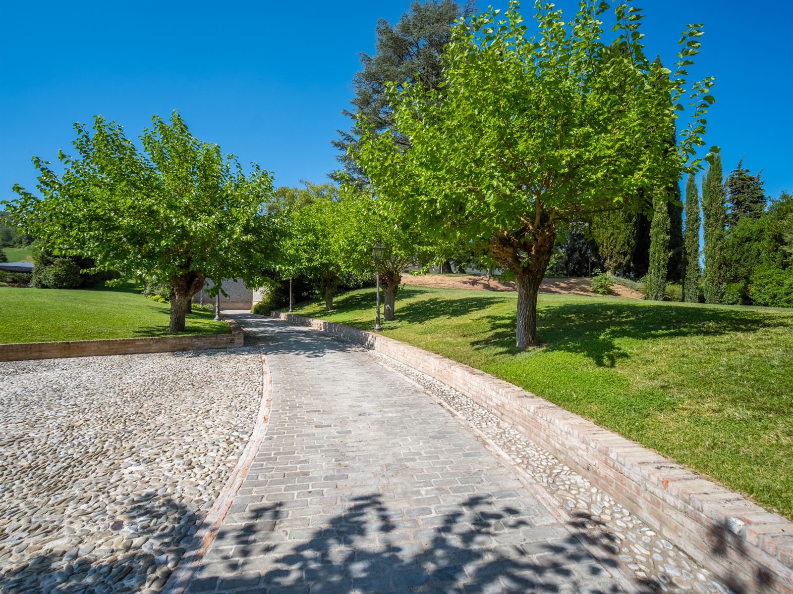Viale alberato