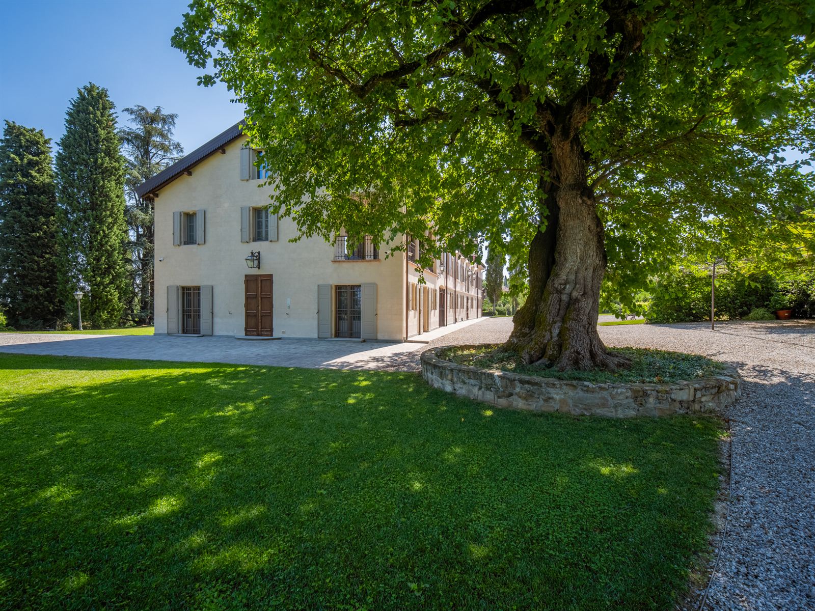 Albero secolare