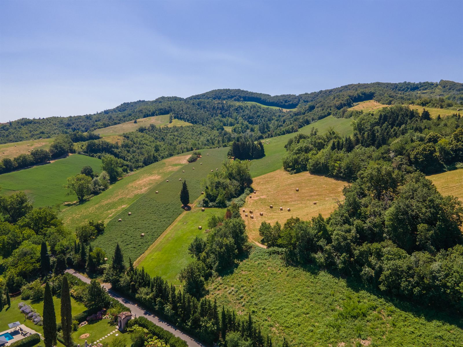 Panorama