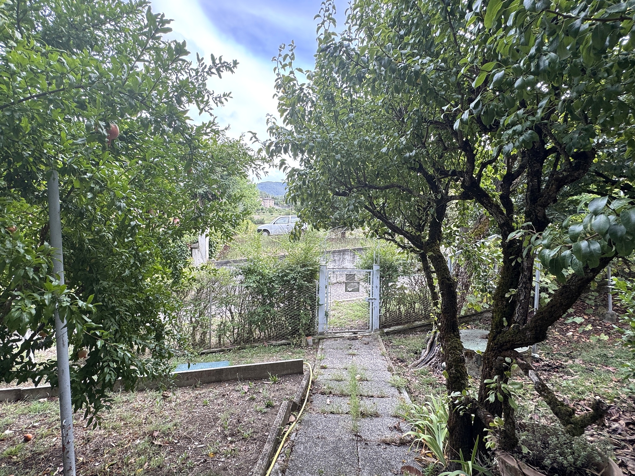 Frutteto — percorso verso cancelletto e strada